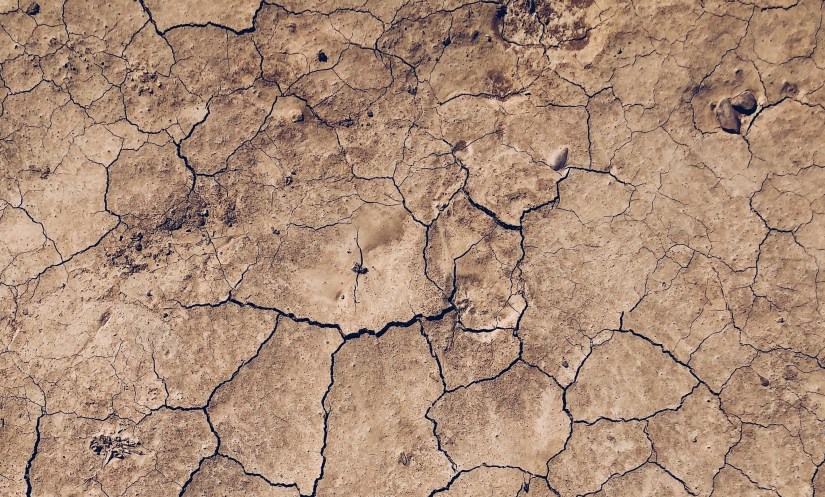 ramin-khatibi-577822-unsplash